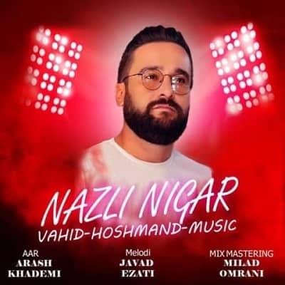 دانلود آهنگ وحید هوشمند به نام Nazli Nigar