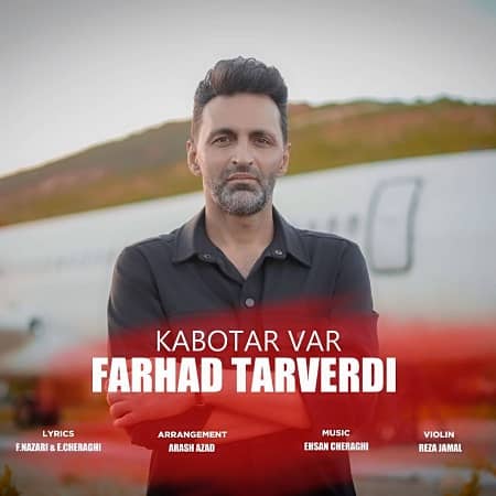 دانلود آهنگ فرهاد تاروردی به نام کبوتر وار