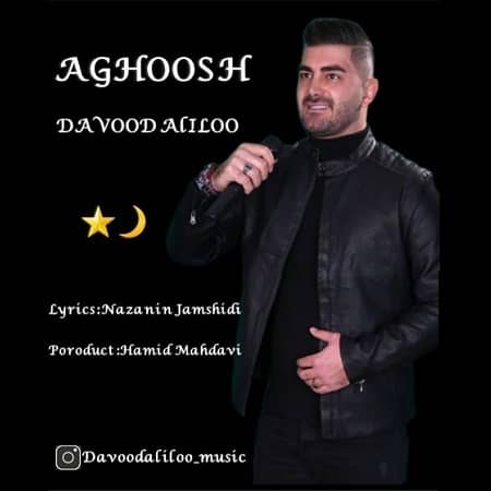 دانلود آهنگ داوود علیلو به نام آغوش