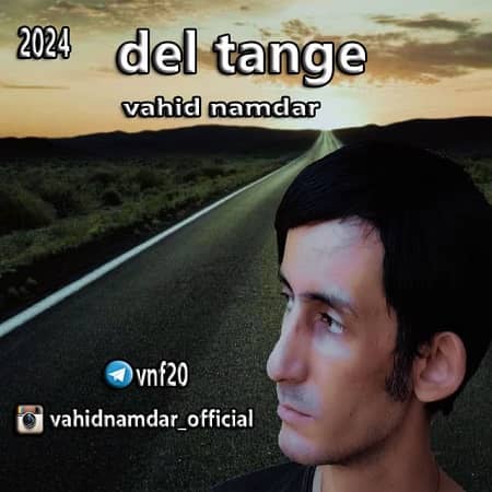 دانلود آهنگ وحید نامدار به نام دلتنگی