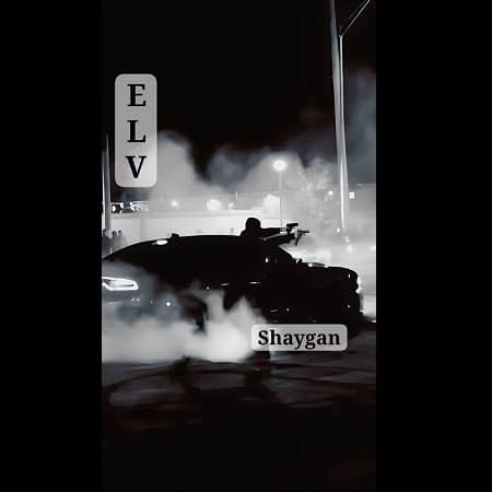 دانلود آهنگ ال وی به نام شایگان