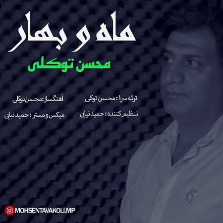 دانلود آهنگ محسن توکلی به نام ماه و بهار