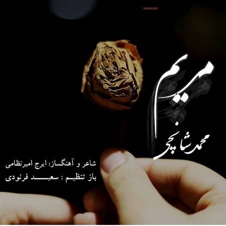 دانلود آهنگ محمد شانچی به نام مریم
