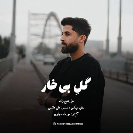 دانلود آهنگ علی شیخ زاده به نام گل بی خار