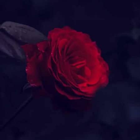 دانلود آهنگ مهرداد آسمانی به نام خانومی