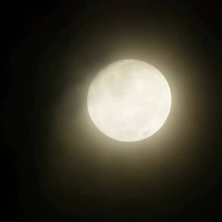 دانلود آهنگ امیر شاملو به نام دلم تو جام بلوره