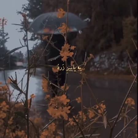 دانلود آهنگ محسن چاوشی به نام کجایی