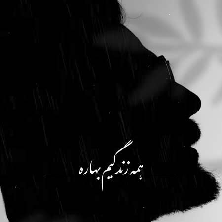 دانلود آهنگ گرشا رضایی به نام کبوتر امید