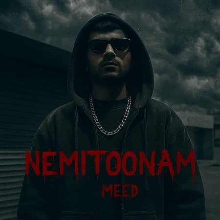 دانلود آهنگ مید به نام نمیتونم