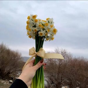 دانلود آهنگ منوچهر سخایی به نام خودت گل پیرهنت گل
