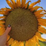 دانلود آهنگ تاج الدین به نام یک خنده کن ای گل