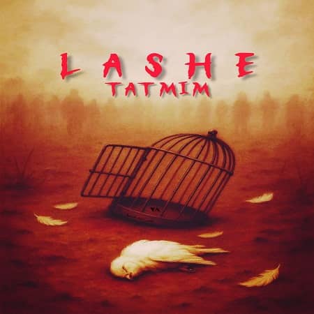 دانلود آهنگ تتمیم به نام لاشه