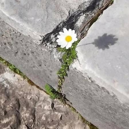 دانلود آهنگ شمالی به نام بارون بارونه