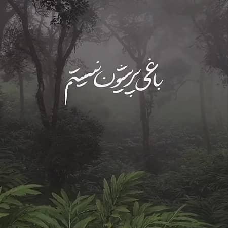 دانلود آهنگ محسن چاوشی به نام رود سوخته