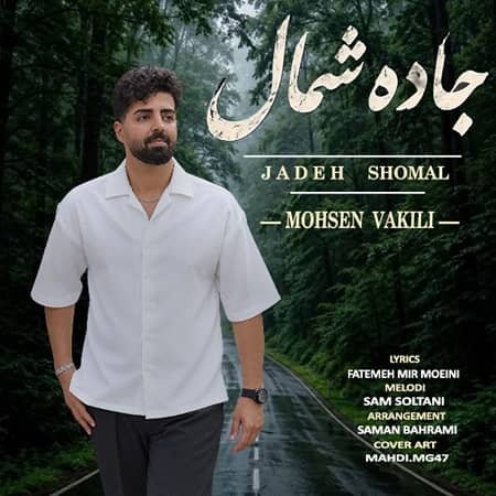 دانلود آهنگ محسن وکیلی به نام جاده شمال